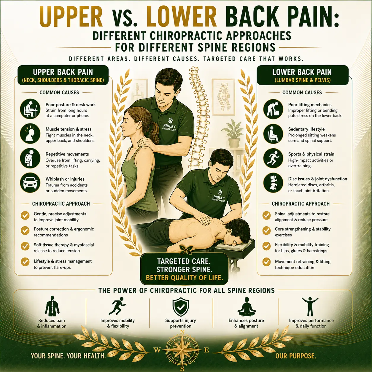 Infographic comparing upper and lower back pain, detailing common causes and chiropractic treatment approaches, with illustrations of a chiropractor adjusting patients. Includes motivational messages about chiropractic care.